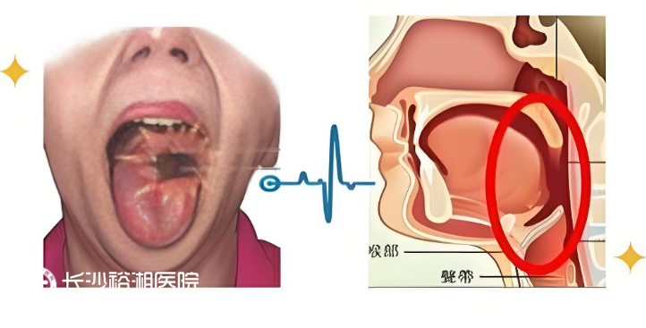 1755044876161661.png image.png