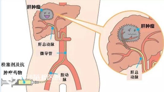 1755505648104965.png image.png