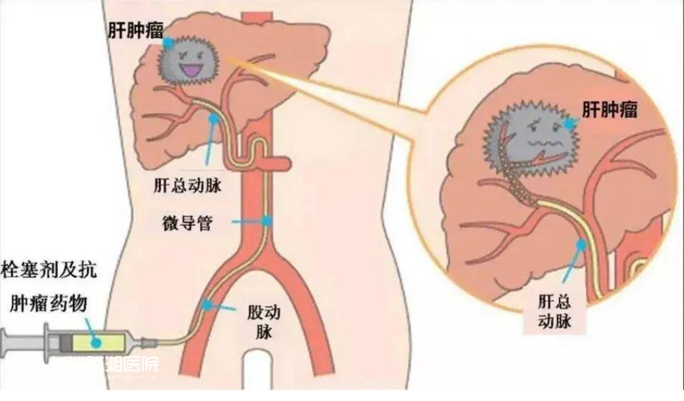 1761814522154914.png image.png