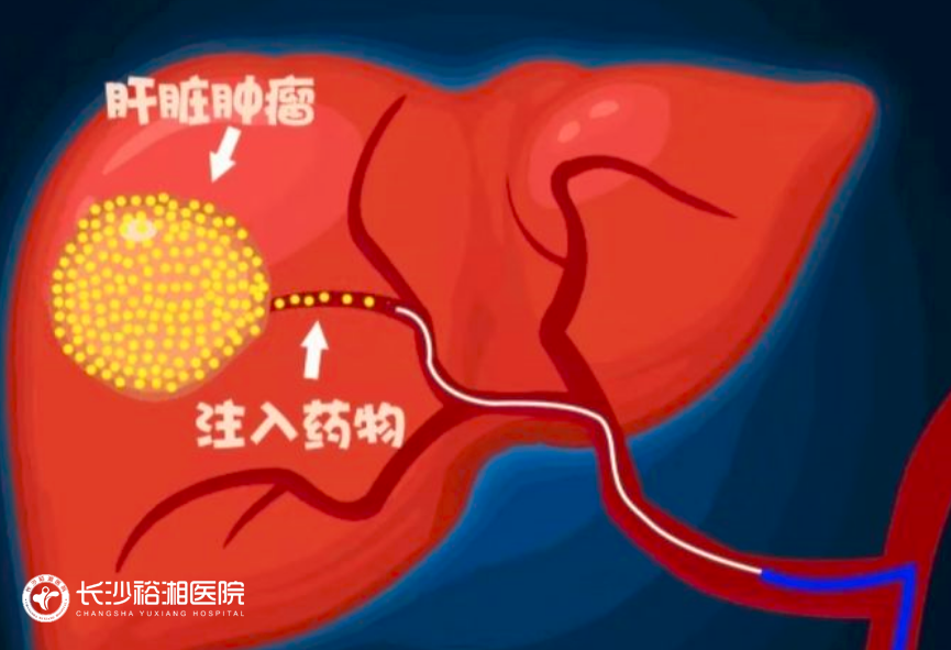 1761814585351238.png image.png