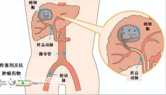 1762498537181909.png image.png