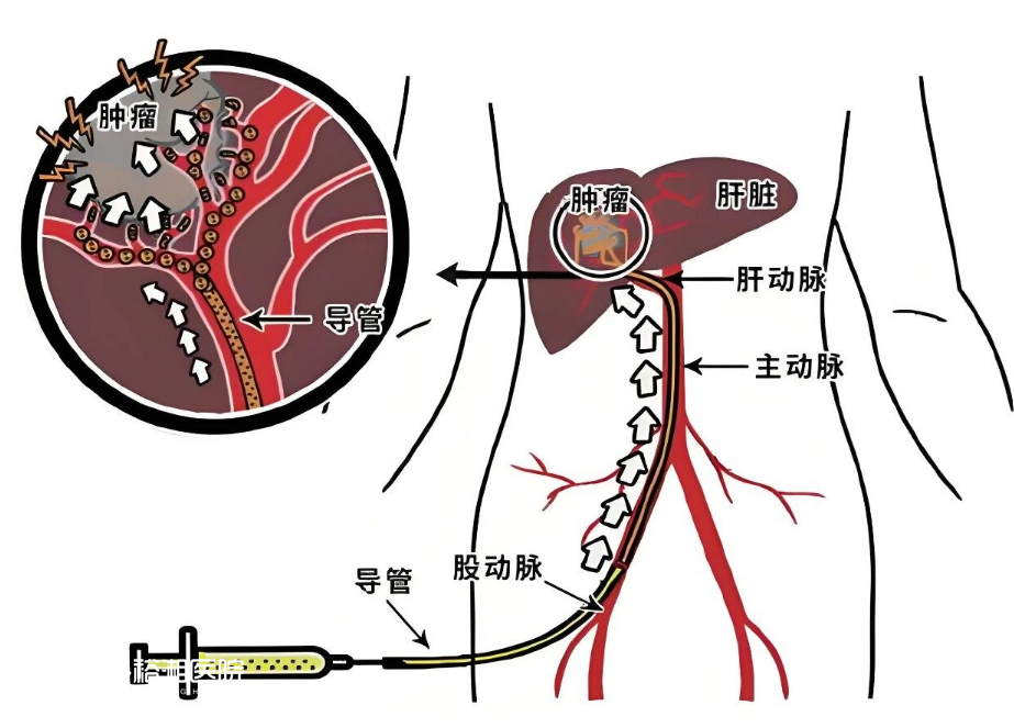 1762503640604679.png image.png