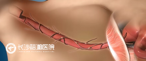 1763516466128195.png image.png