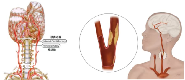 1763541417211589.png image.png