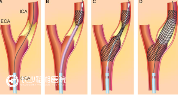 1763541859944624.png image.png